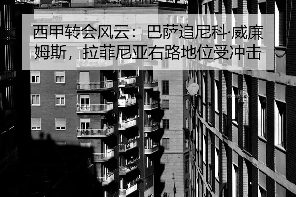 xi-jia-zhuan-hui-feng-yun-ba-sa-zhui-ni-ke-wei-lian-mu-si-la-fei-ni-ya-you-lu-di-wei-shou-chong-ji-2-403.jpg