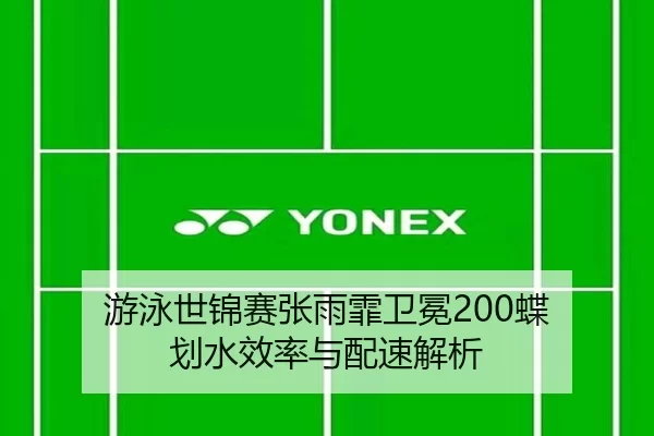 you-yong-shi-jin-sai-zhang-yu-fei-wei-mian-die-hua-shui-xiao-lv-yu-pei-su-jie-xi-3-319.jpg