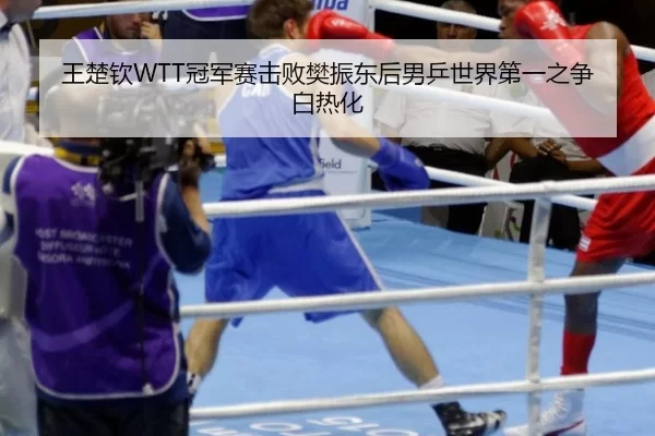 王楚钦WTT冠军赛击败樊振东后男乒世界第一之争白热化
